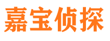 龙港侦探公司